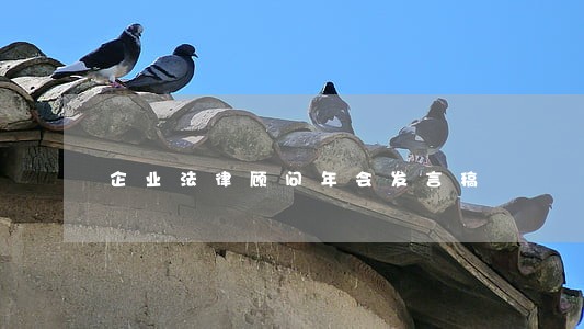 企业法律顾问年会发言稿 企业法律顾问年会发言稿