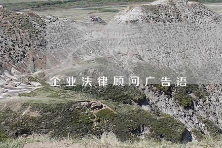 企业法律顾问广告语 企业法律顾问广告语