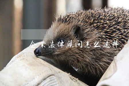 企业法律顾问怎么选择 企业法律顾问怎么选择