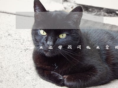 企业法律顾问执业资格 企业法律顾问执业资格