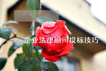 企业法律顾问投标技巧