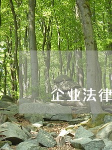 企业法律顾问改革方向 企业法律顾问改革方向