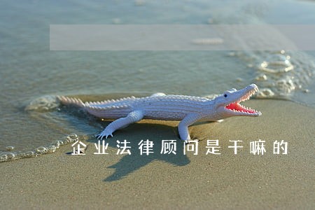 企业法律顾问是干嘛的 企业法律顾问是干嘛的