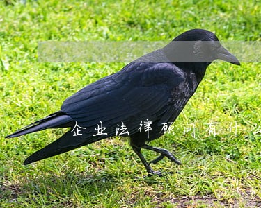 企业法律顾问有什么好处 企业法律顾问有什么好处