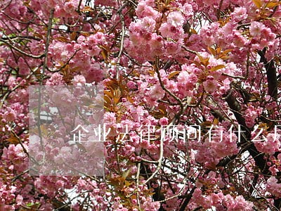企业法律顾问有什么用 企业法律顾问有什么用