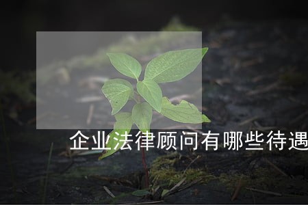 企业法律顾问有哪些待遇 企业法律顾问有哪些待遇