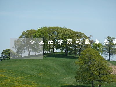 企业法律顾问服务是哪些 企业法律顾问服务是哪些