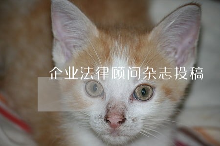 企业法律顾问杂志投稿 企业法律顾问杂志投稿