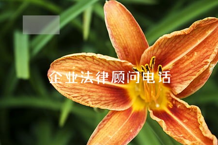 企业法律顾问电话 企业法律顾问电话