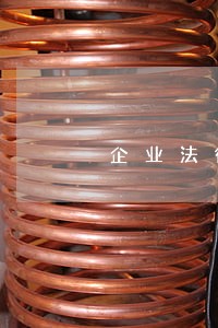 企业法律顾问的晋升空间 企业法律顾问的晋升空间