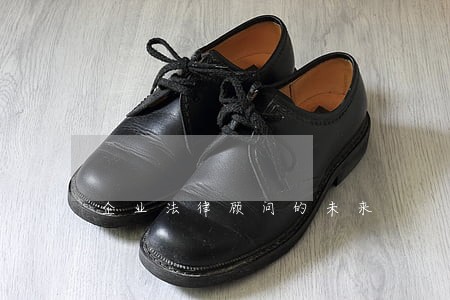 企业法律顾问的未来 企业法律顾问的未来