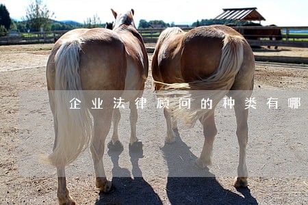企业法律顾问的种类有哪些 企业法律顾问的种类有哪些
