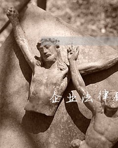 企业法律顾问的规定 企业法律顾问的规定