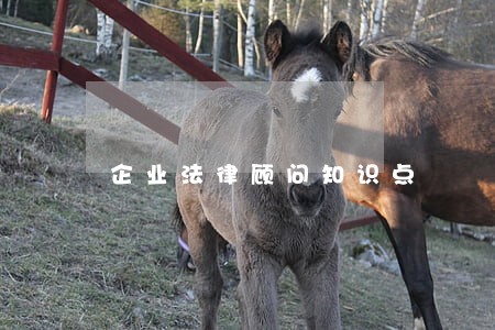 企业法律顾问知识点 企业法律顾问知识点
