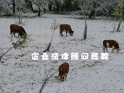 企业法律顾问竞聘 企业法律顾问竞聘