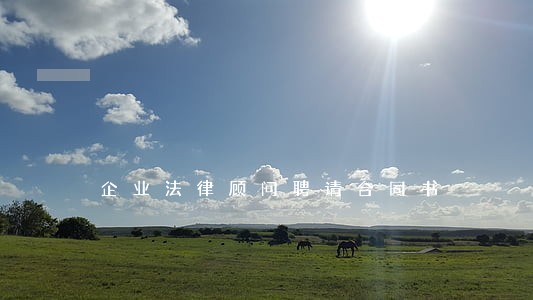 企业法律顾问聘请合同书 企业法律顾问聘请合同书
