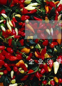 企业法律顾问聘请数量 企业法律顾问聘请数量