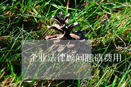 企业法律顾问聘请费用 企业法律顾问聘请费用