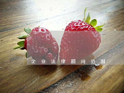 企业法律顾问范围