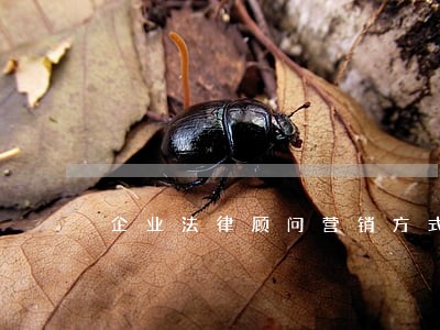 企业法律顾问营销方式 企业法律顾问营销方式