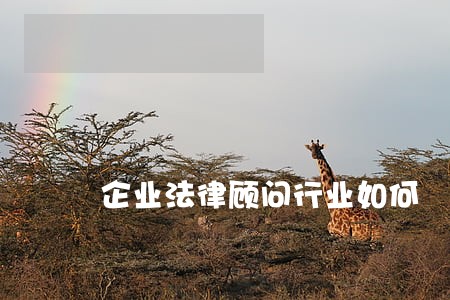 企业法律顾问行业如何 企业法律顾问行业如何