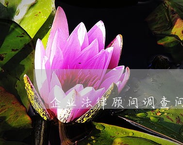 企业法律顾问调查问卷 企业法律顾问调查问卷