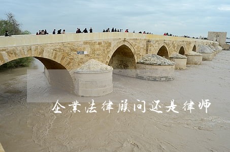 企业法律顾问还是律师 企业法律顾问还是律师