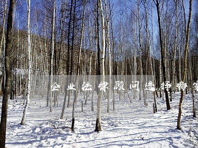 企业法律顾问选择哪家 企业法律顾问选择哪家