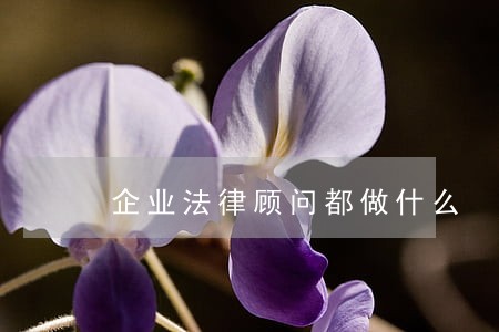 企业法律顾问都做什么 企业法律顾问都做什么