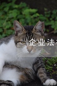 企业法律顾问长尾词 企业法律顾问长尾词