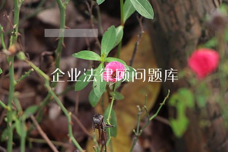 企业法律顾问题库 企业法律顾问题库