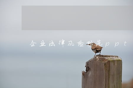 企业法律风险防范ppt下载 企业法律风险防范ppt下载