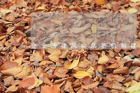 企业法律风险防范机制建设探讨 企业法律风险防范机制建设探讨