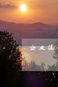 企业注册法律法规 企业注册法律法规