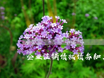 企业注销债权债务知名律师 企业注销债权债务知名律师