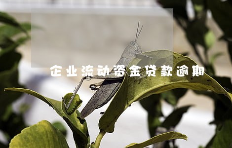 企业流动资金贷款逾期 企业流动资金贷款逾期