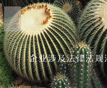 企业涉及法律法规清单 企业涉及法律法规清单