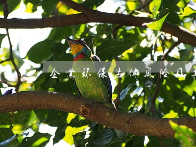 企业环保法律风险及其防范1 企业环保法律风险及其防范1