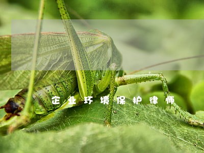 企业环境保护律师 企业环境保护律师