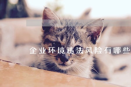 企业环境违法风险有哪些