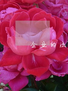 企业的法律顾问有哪些 企业的法律顾问有哪些