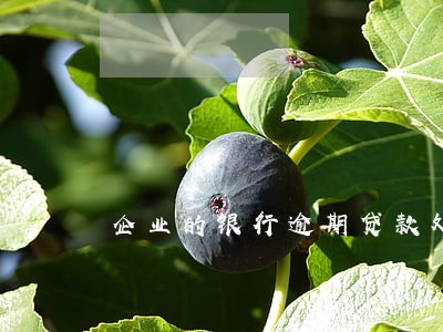 企业的银行逾期贷款处理 企业的银行逾期贷款处理