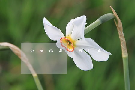 企业税务逾期1天