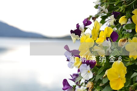 企业税款逾期滞纳金6 企业税款逾期滞纳金6