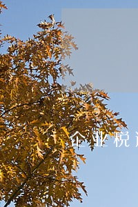 企业税逾期一二天会影响信用吗 企业税逾期一二天会影响信用吗