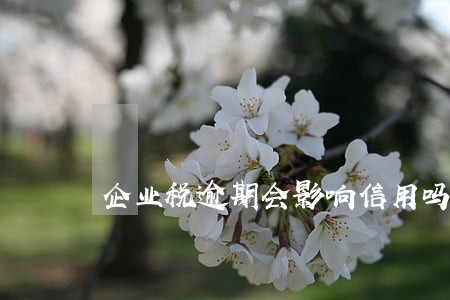企业税逾期会影响信用吗 企业税逾期会影响信用吗