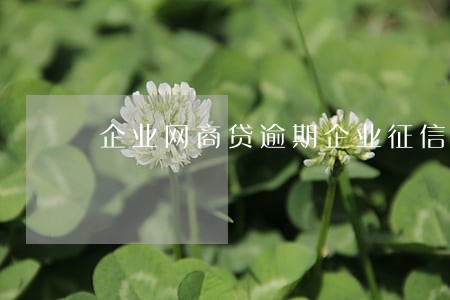 企业网商贷逾期企业征信 企业网商贷逾期企业征信