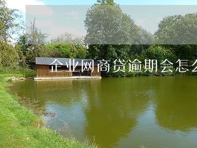 企业网商贷逾期会怎么办 企业网商贷逾期会怎么办