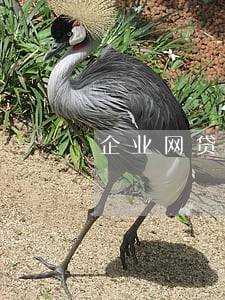 企业网贷逾期记录消除 企业网贷逾期记录消除