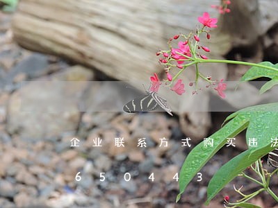 企业联系方式购买违法吗/2023020650443 企业联系方式购买违法吗/2023020650443